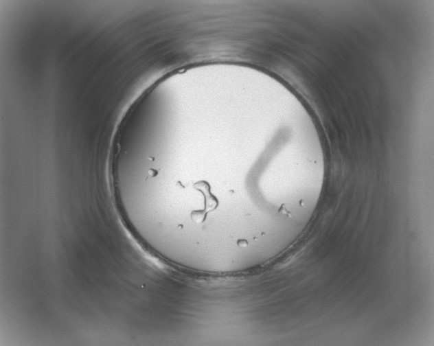 X0000064741293200603031658