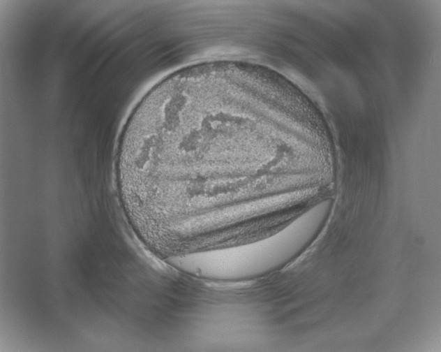 X0000064741296200603031658