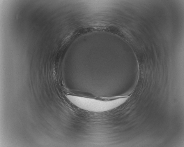 X0000064741298200603031657