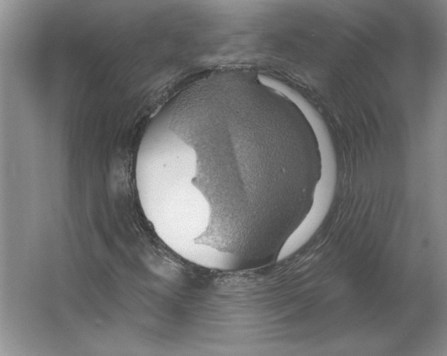 X0000064741300200603031657