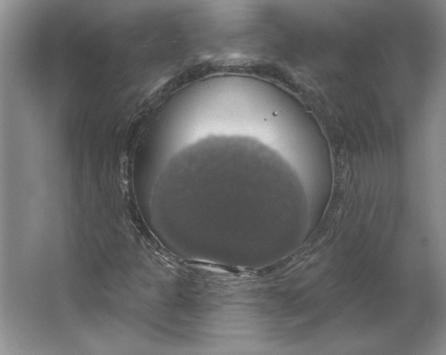 X0000064741301200603031657