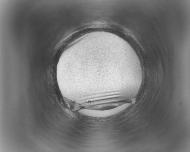 X0000064741304200603031657