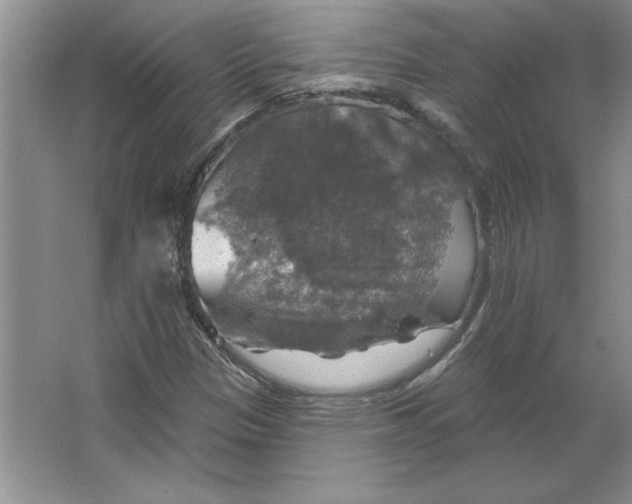 X0000064741305200603031657