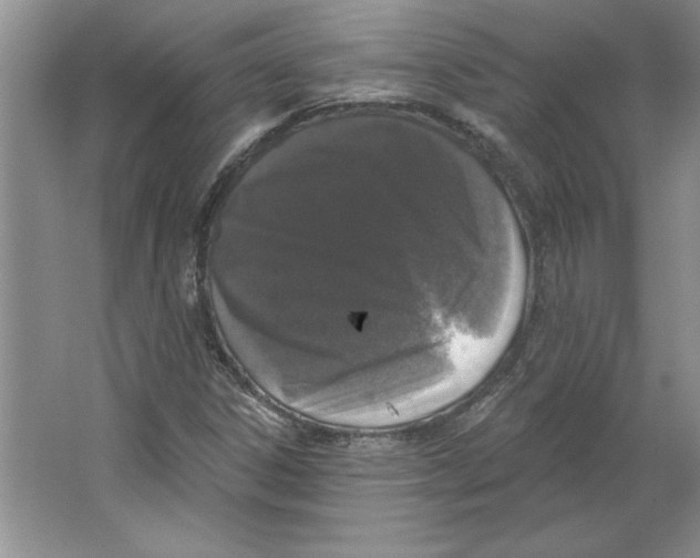 X0000064741306200603031657