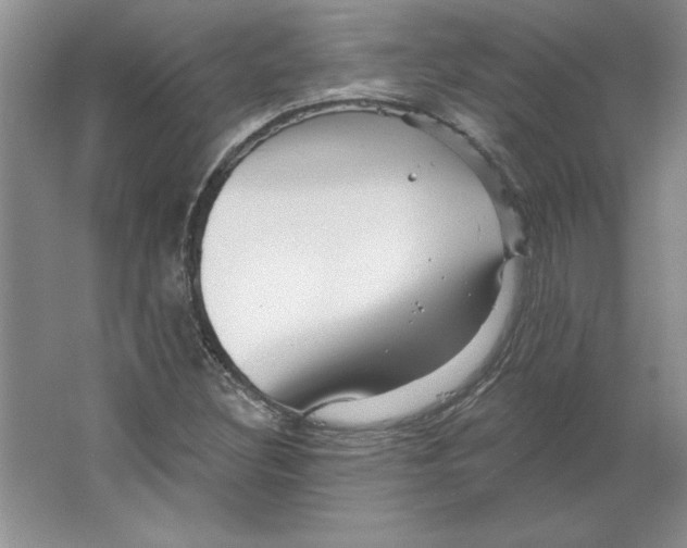 X0000064741308200603031657