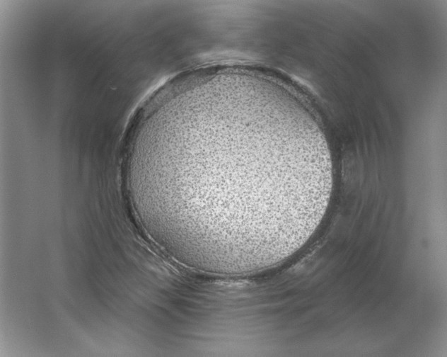 X0000064741309200603031657