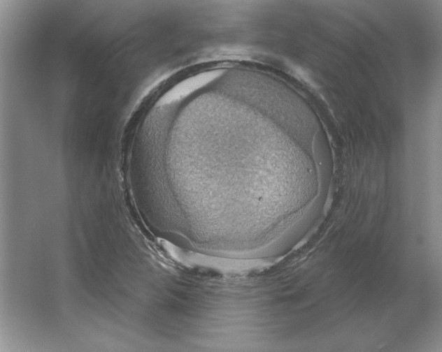 X0000064741312200603031657