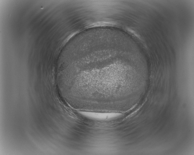 X0000064741313200603031657