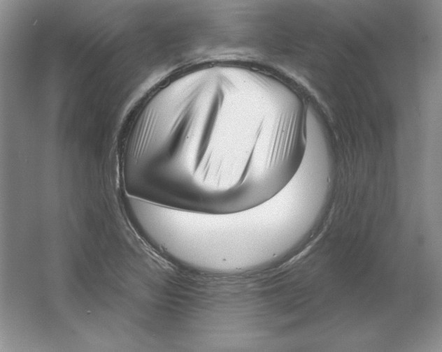 X0000064741317200603031657