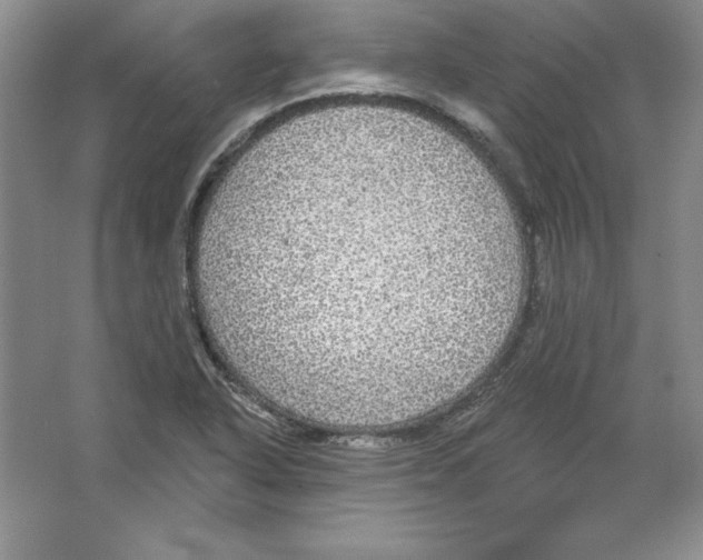 X0000064741318200603031657