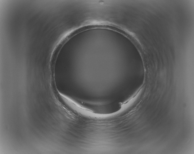 X0000064741319200603031657