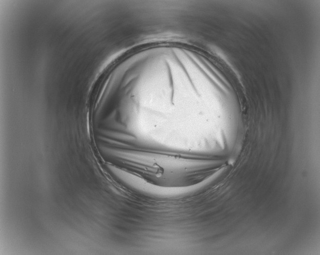 X0000064741320200603031657