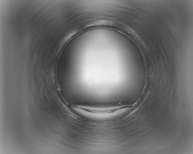 X0000064741321200603031657