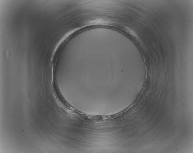 X0000064741323200603031657