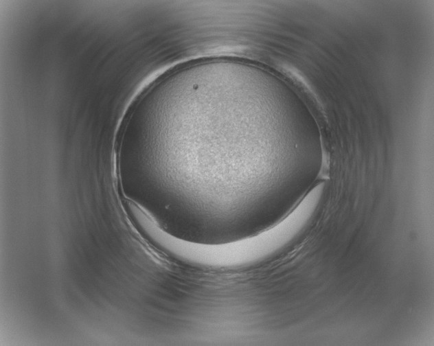 X0000064741324200603031657