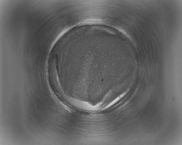 X0000064741325200603031657