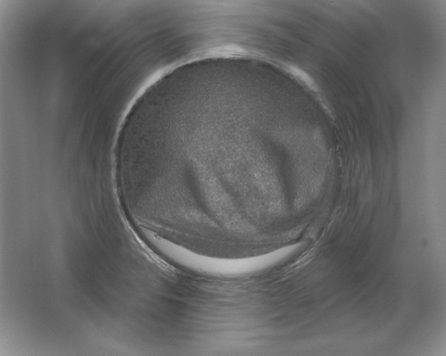 X0000064741326200603031657