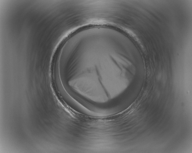 X0000064741327200603031657