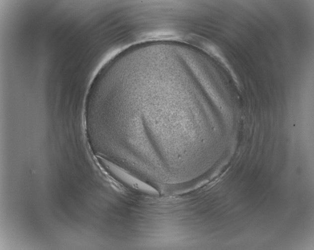 X0000064741328200603031657