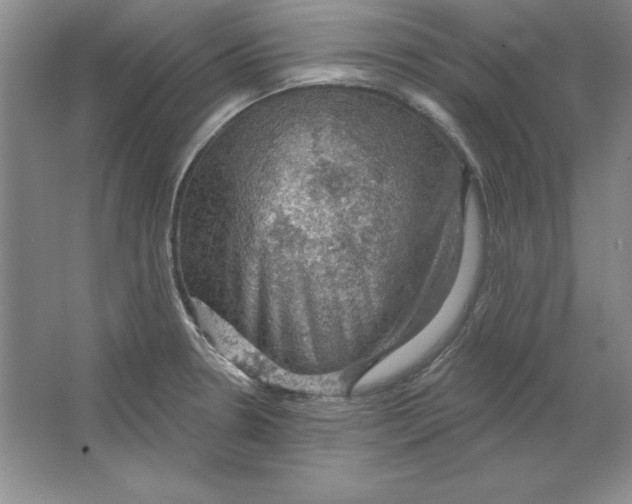 X0000064741330200603031657