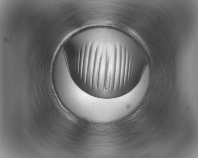 X0000064741332200603031657