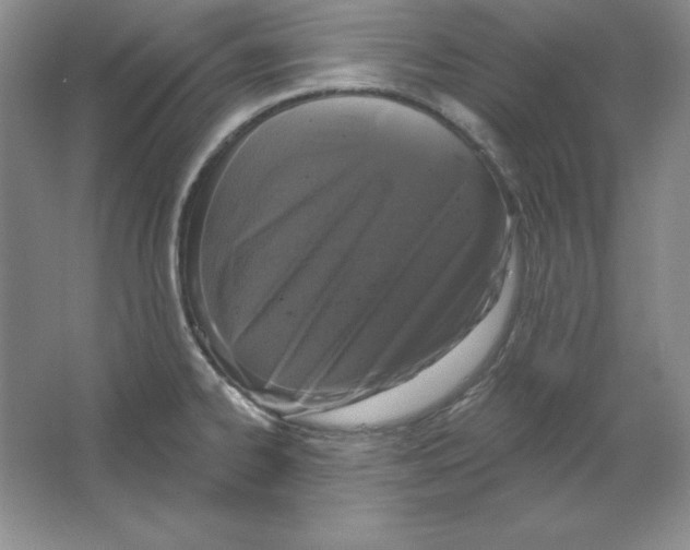 X0000064741334200603031657