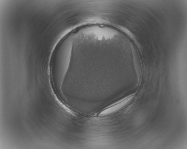 X0000064741335200603031657