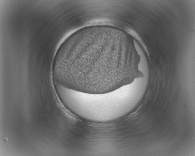 X0000064741336200603031657