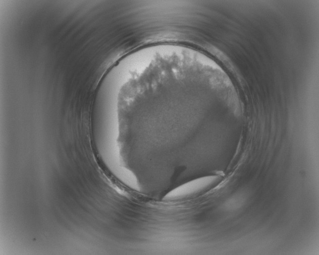 X0000064741337200603031657