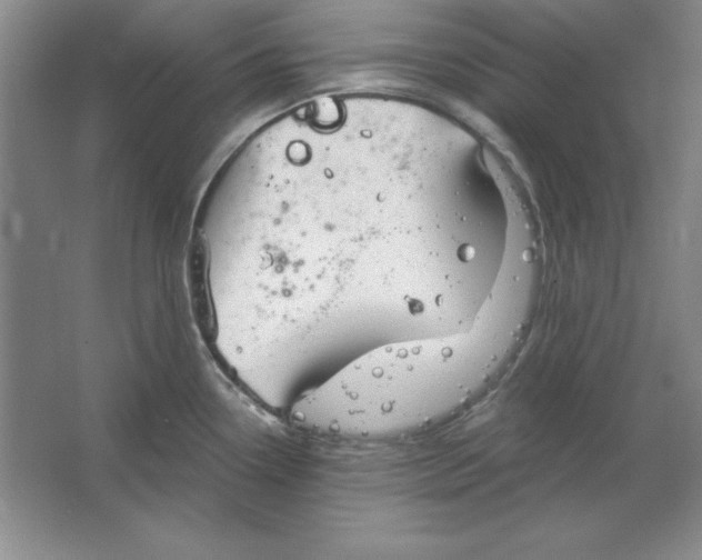 X0000064741338200603031657