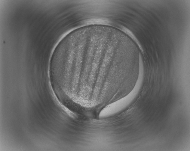 X0000064741339200603031657