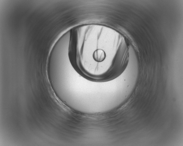 X0000064741340200603031657