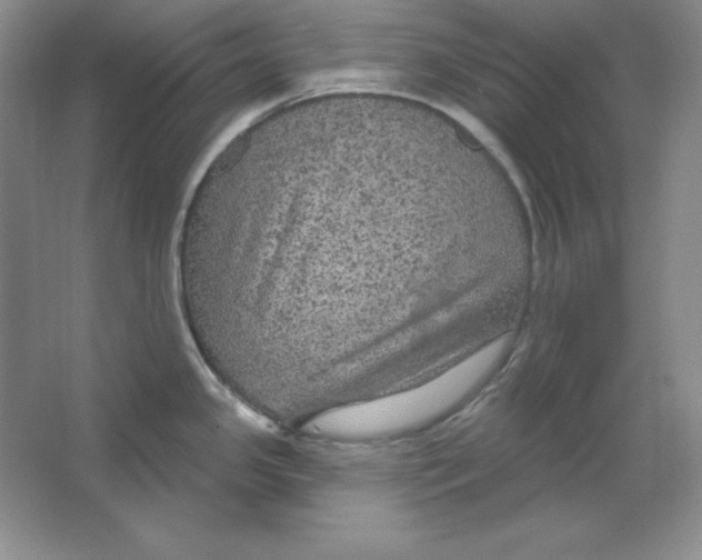 X0000064741341200603031657