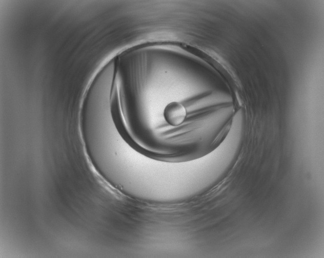 X0000064741342200603031657