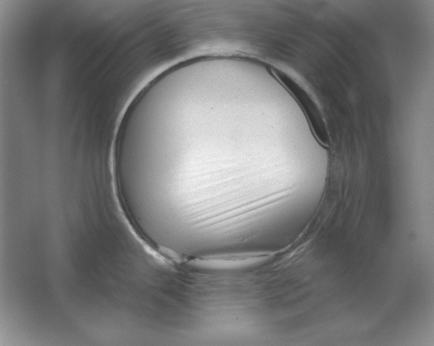 X0000064741343200603031658