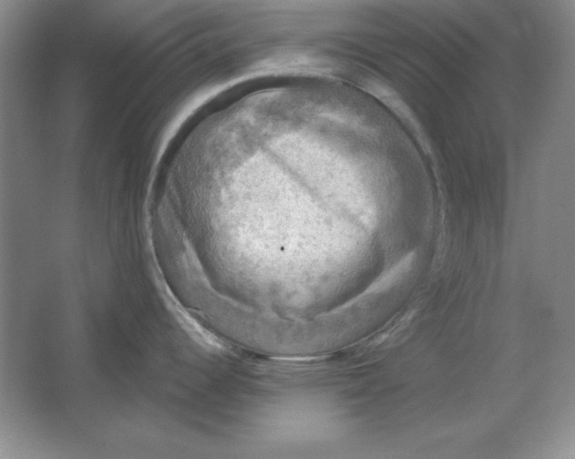 X0000064741344200603031658