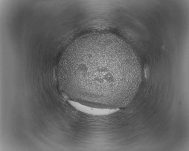 X0000064741347200603031657