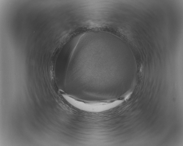 X0000064741348200603031657