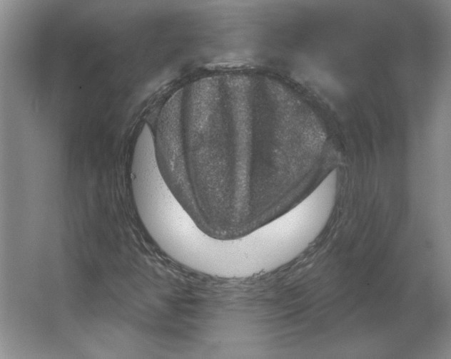 X0000064741350200603031657