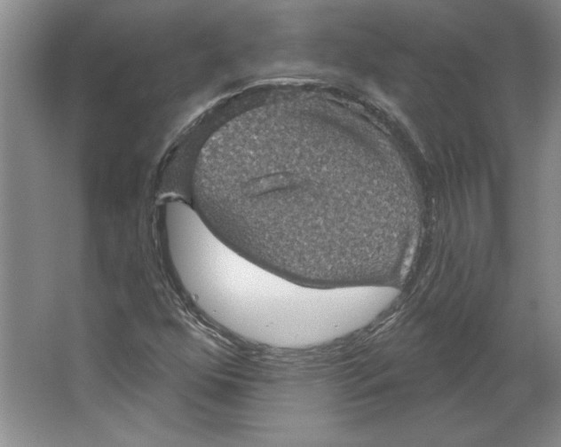 X0000064741352200603031657