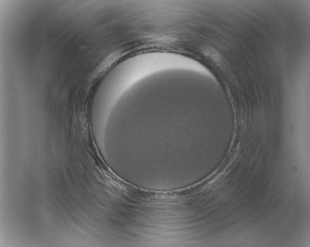 X0000064741354200603031657