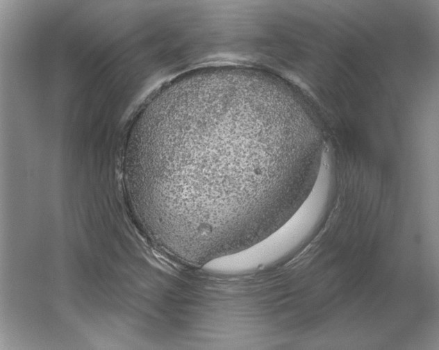 X0000064741355200603031657