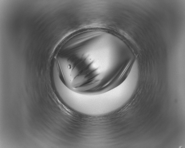 X0000064741356200603031657