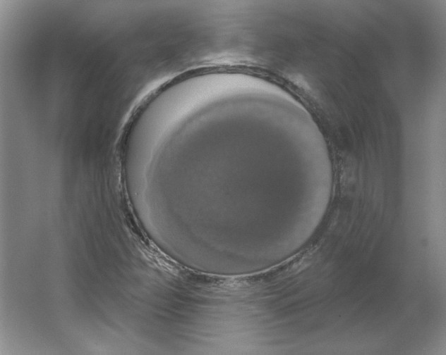 X0000064741358200603031657