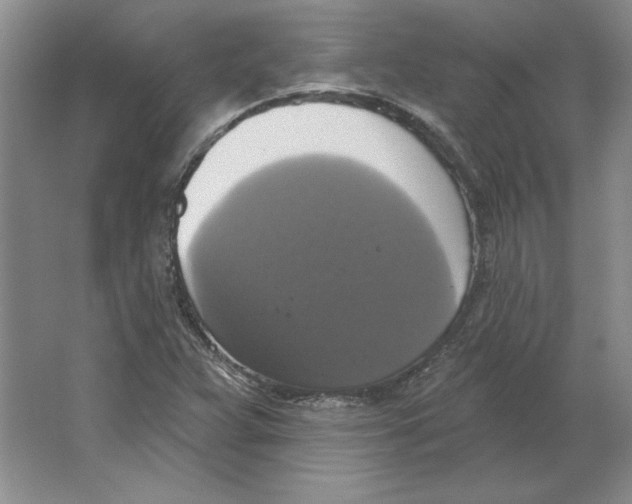 X0000064741359200603031656