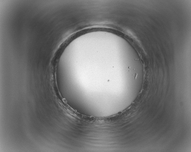 X0000064741360200603031656