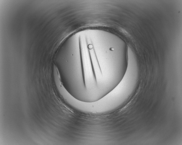 X0000064741361200603031656