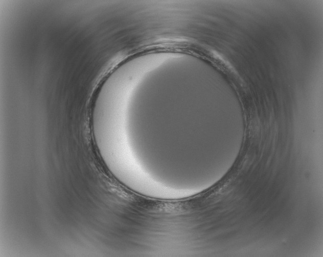 X0000064741362200603031656