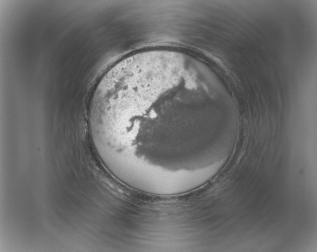 X0000064741363200603031656