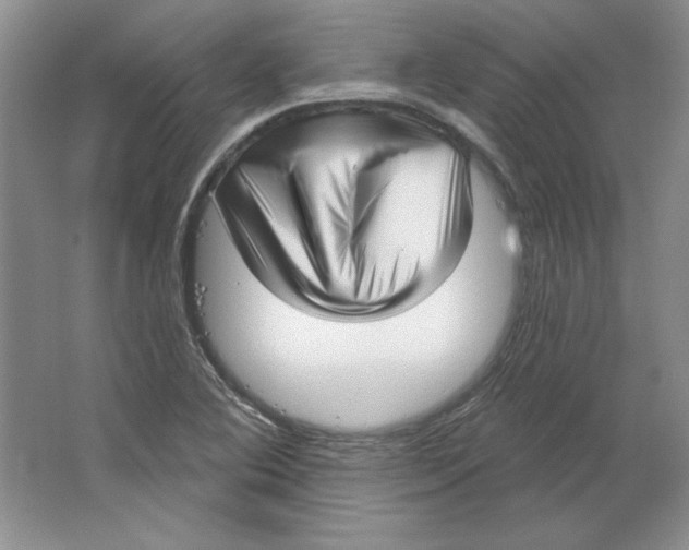 X0000064741364200603031656